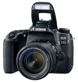   Canon EOS 77D  1892C017