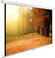 Экран проекционный Cactus WallExpert CS-PSWE-200x125-WT CS-PSWE-200X125-WT