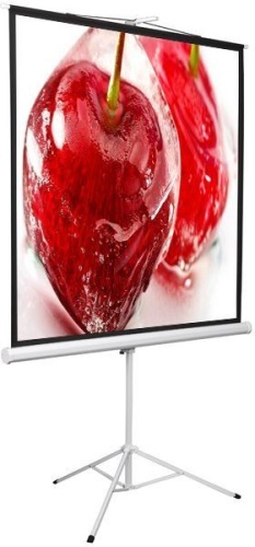 Экран проекционный Digis Kontur-D 186x189см MW (DSKD-1105)