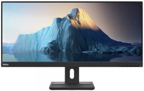Монитор Lenovo ThinkVision E29w-20 (62CEGAT3EU) фото 2