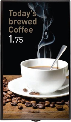 Монитор LG 49SE3KD-B черный фото 3