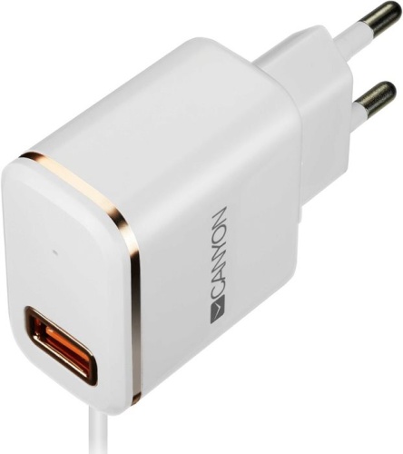 Адаптер питания USB CANYON H-043 Universal CNE-CHA043WR Адаптер питания USB CANYON H-043 Universal CNE-CHA043WR