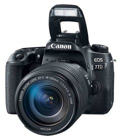   Canon EOS 77D  1892C004