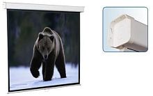 Экран проекционный ScreenMedia Economy 203*203 MW SEM-1104