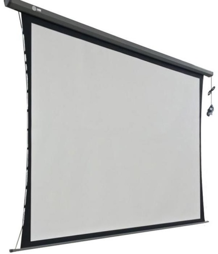 Экран проекционный Cactus Professional Tension Motoscreen CS-PSPMT-168x299 CS-PSPMT-168X299 Экран проекционный Cactus Professional Tension Motoscreen CS-PSPMT-168x299 CS-PSPMT-168X299