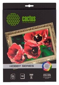  Cactus CS-GA426010