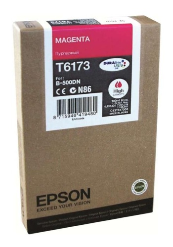 Оригинальный струйный картридж Epson T617300 C13T617300